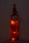 Preview: Leuchtflasche Flasche Herbst Kürbis Lichterkette handbemalt