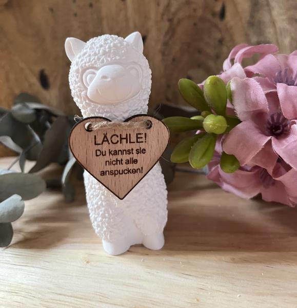 Alpaka mit Holzschild Geschenk Spruch